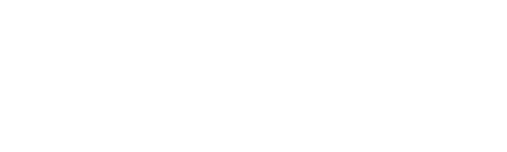 SAFA STUDY